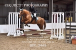 BPP_3445
