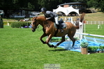 Cls 1 Snr Foxhunter portfolio