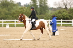 SBM_006891