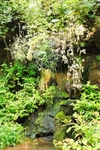 Fairy Glen
