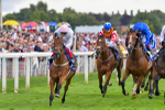 260823-Race 4-Absurde-0920