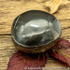Polished Whitby Ammonite Nodule 033