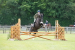 Class 99 - RIHS SEIB Working Show Horse portfolio