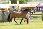 SBM_02070