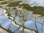 Canal Reflections