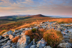 Evening Light on Cronk Ny Arrey Laa