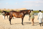 SBM_08589