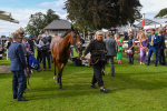 260823-Race 5-Summerghand-1218