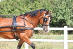 SBM_000872