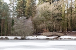 Winter at Mallards Pike - 1