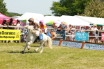 SBM_16889