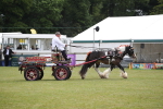 SBM_07046