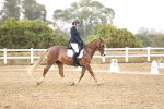 SBM_004647