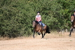 WJ6_8768