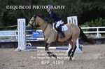 06TH - 7TH JULY 2024 - Junior British Show Jumping 2 Day Show - MUIRMILL EC portfolio