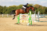 SBM_007773