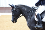 SBM_002010