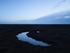 Saltmarsh Blue
