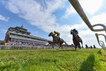 160726-Race 6-Capital Guarantee-3464