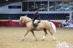 SBM_23927