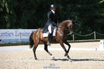 361-FINCH_FANCY-Ben_Lee_Liles-WEDTrotUp+DR portfolio