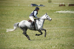 BVHT 140517  NXC -308