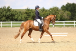 SBM_002205