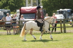 SBM_07020
