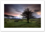 Tree of Tewet ♦ TEWET TARN