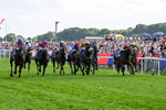 220826-Race 5-Sondad-1079
