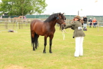 SBM_04196