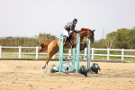 SBM_03837