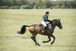 BVHT 140517  NXC -562