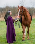 vikings-16