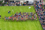Grasmere-500