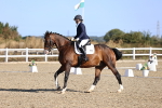 SBM_012386