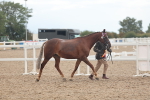 SBM_07852