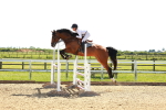 SBM_002785