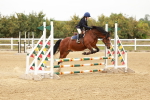 SBM_007892