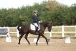 SBM_008443