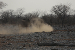 Disappearing in a Dust Cloud