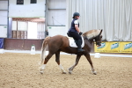 SBM_006291