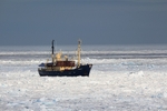 MV Stockholm in Actic sea ice