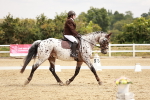 Class 6 - Novice 6 Silver - 10.17-11.20 portfolio