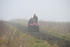 WJ6_7012