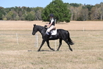 WJ6_8823