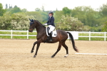 SBM_006384