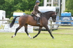 SBM_16235