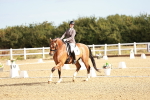 SBM_008610