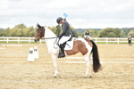 Novice 1 portfolio